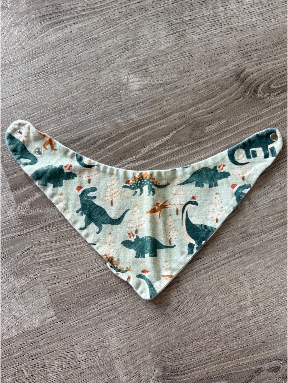 Baby Bandana Bib with Dinosaur Print and Snap Closure